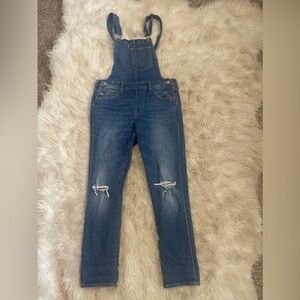 Levi’s Overalls